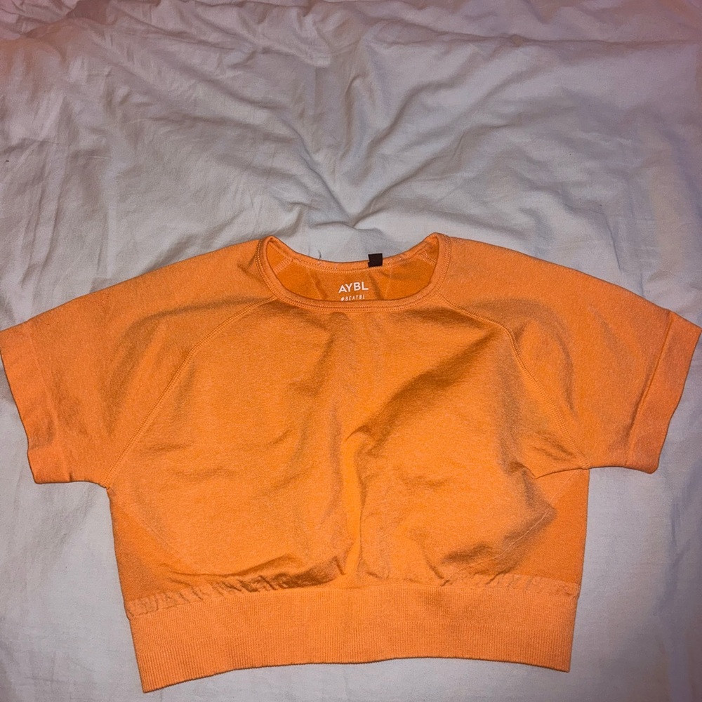AYBL Empower Seamless Crop Top